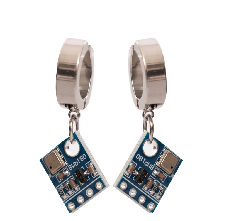 CIRCUIT Ear clips