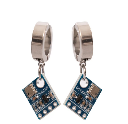 CIRCUIT Ear clips